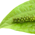 http://www.dreamstime.com/stock-image-fresh-peppercorn-berries-pepper-vine-leaf-image17624681